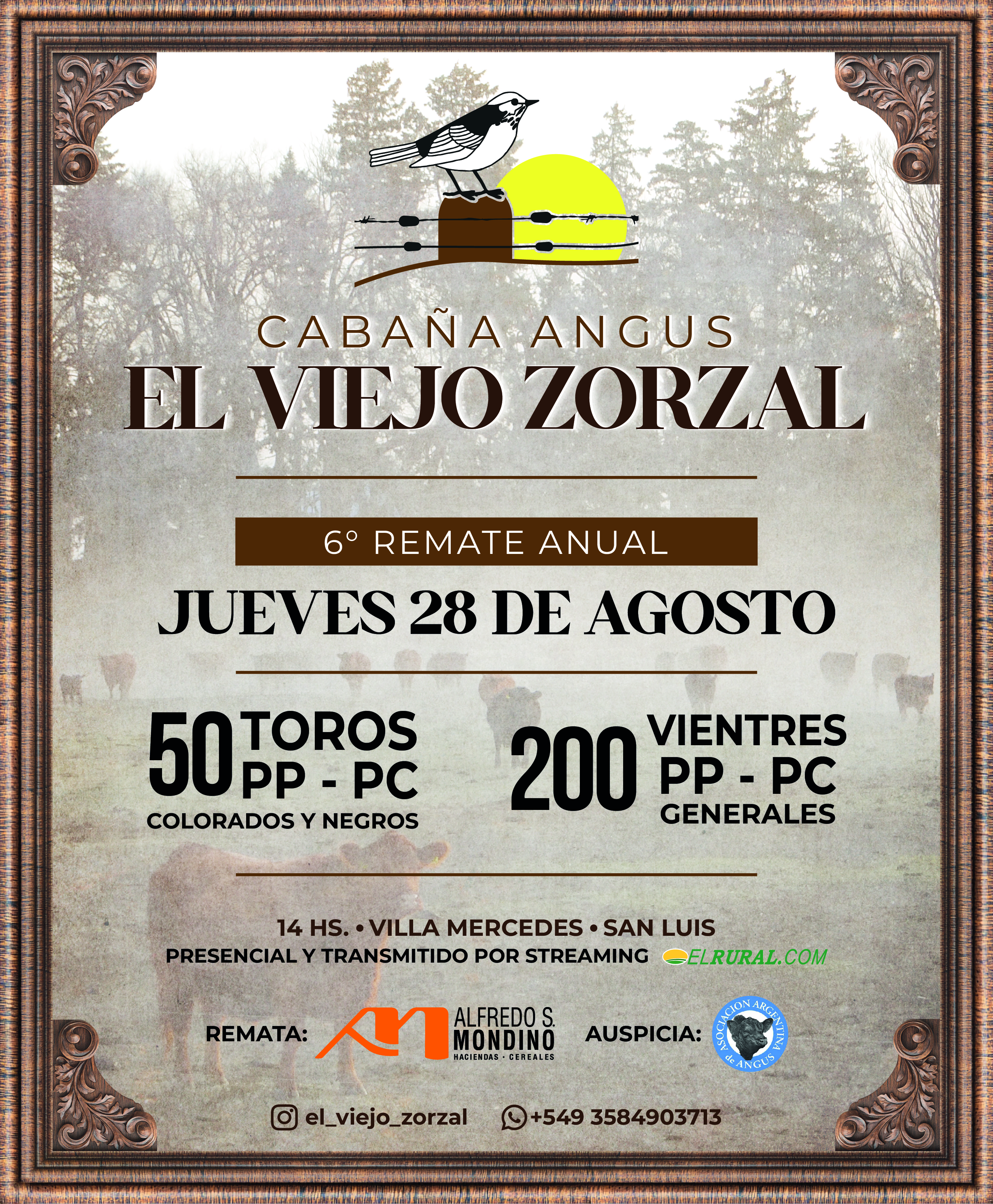 Imagen de El Viejo Zorzal
